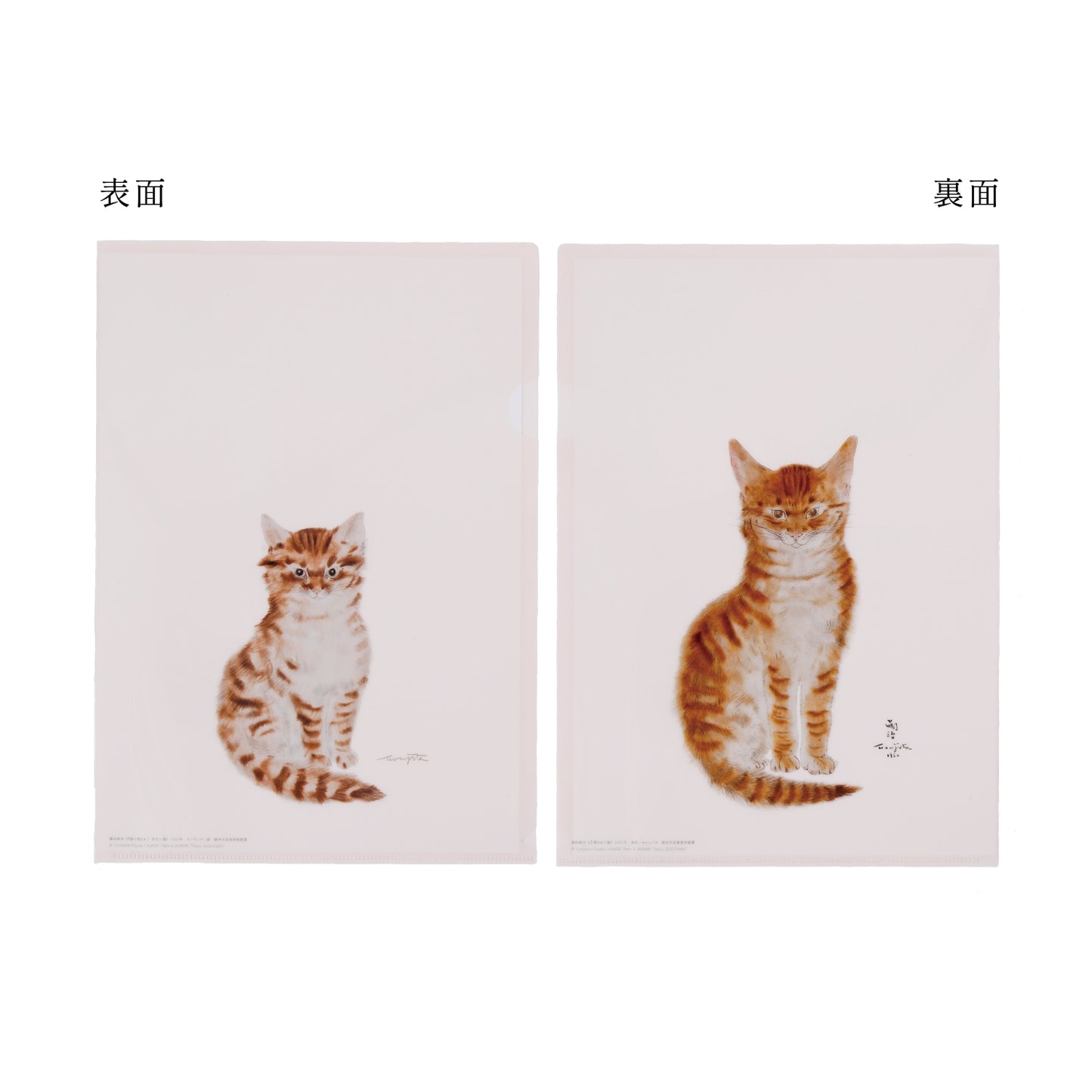 クリアファイル 正面を向く猫 ＆『猫十態』より 茶色い猫
