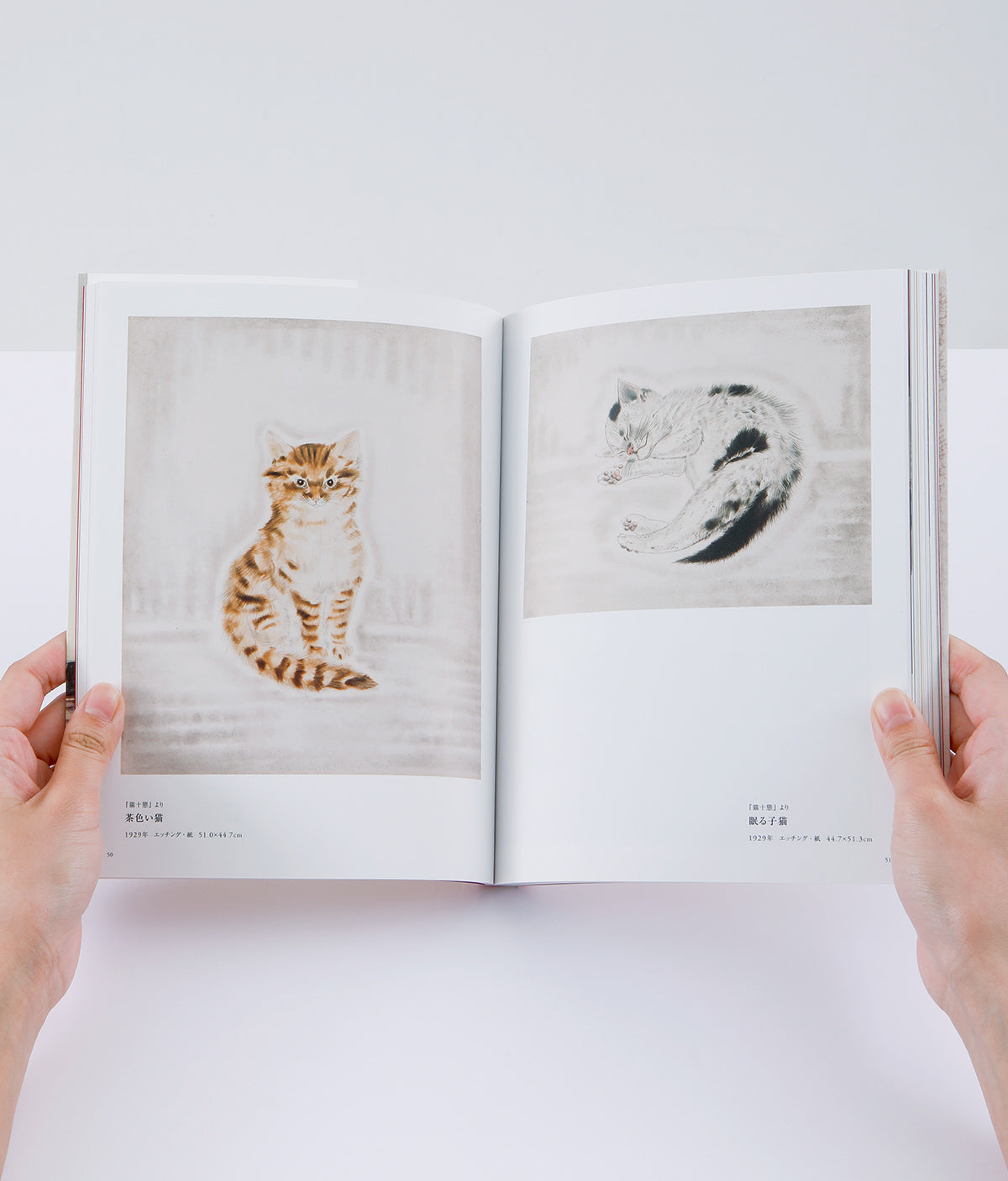 軽井沢安東美術館公式図録  藤田嗣治 安東コレクションの輝き－増補版