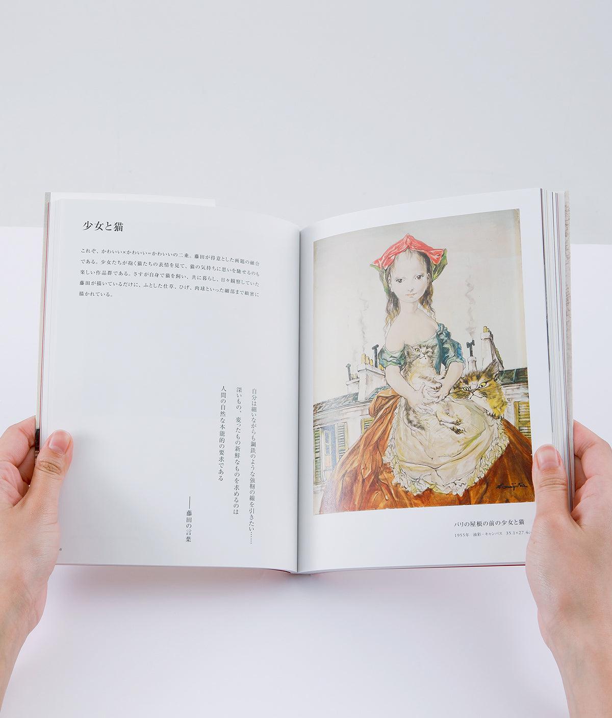 軽井沢安東美術館公式図録  藤田嗣治 安東コレクションの輝き－増補版