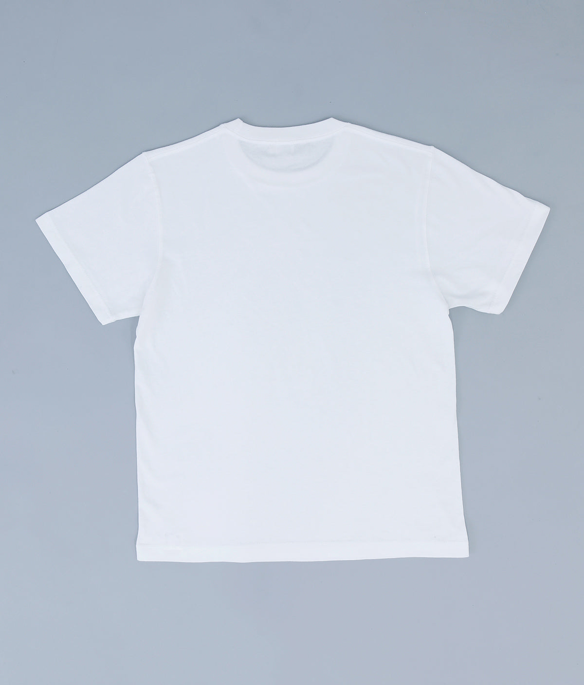 Tシャツ マドレーヌ(L)