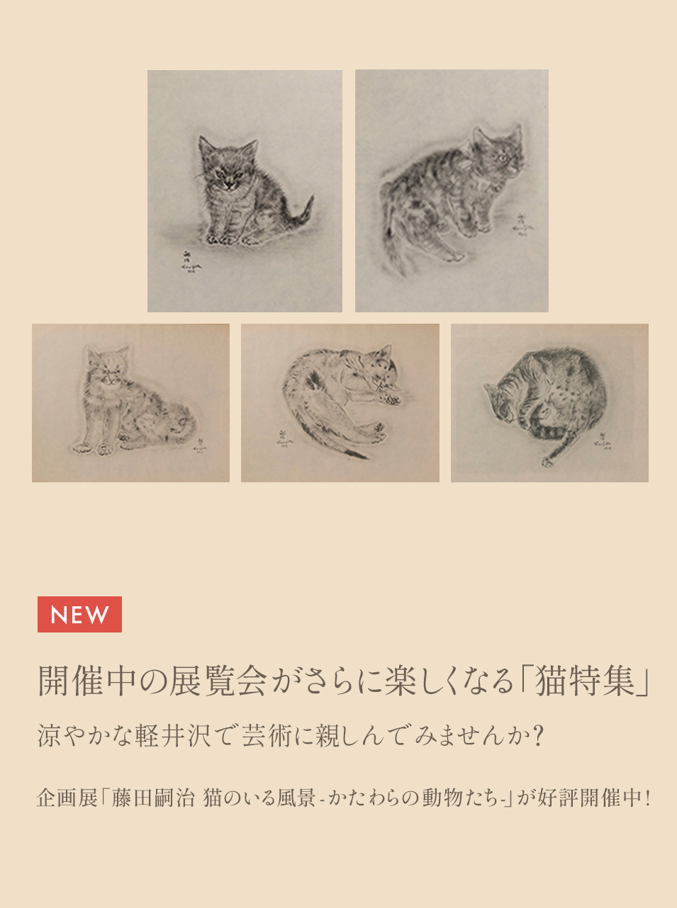 藤田嗣治を「猫の画家」として知らしめた『猫の本』に描かれた猫特集